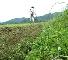 草刈り・伐採・害虫駆除